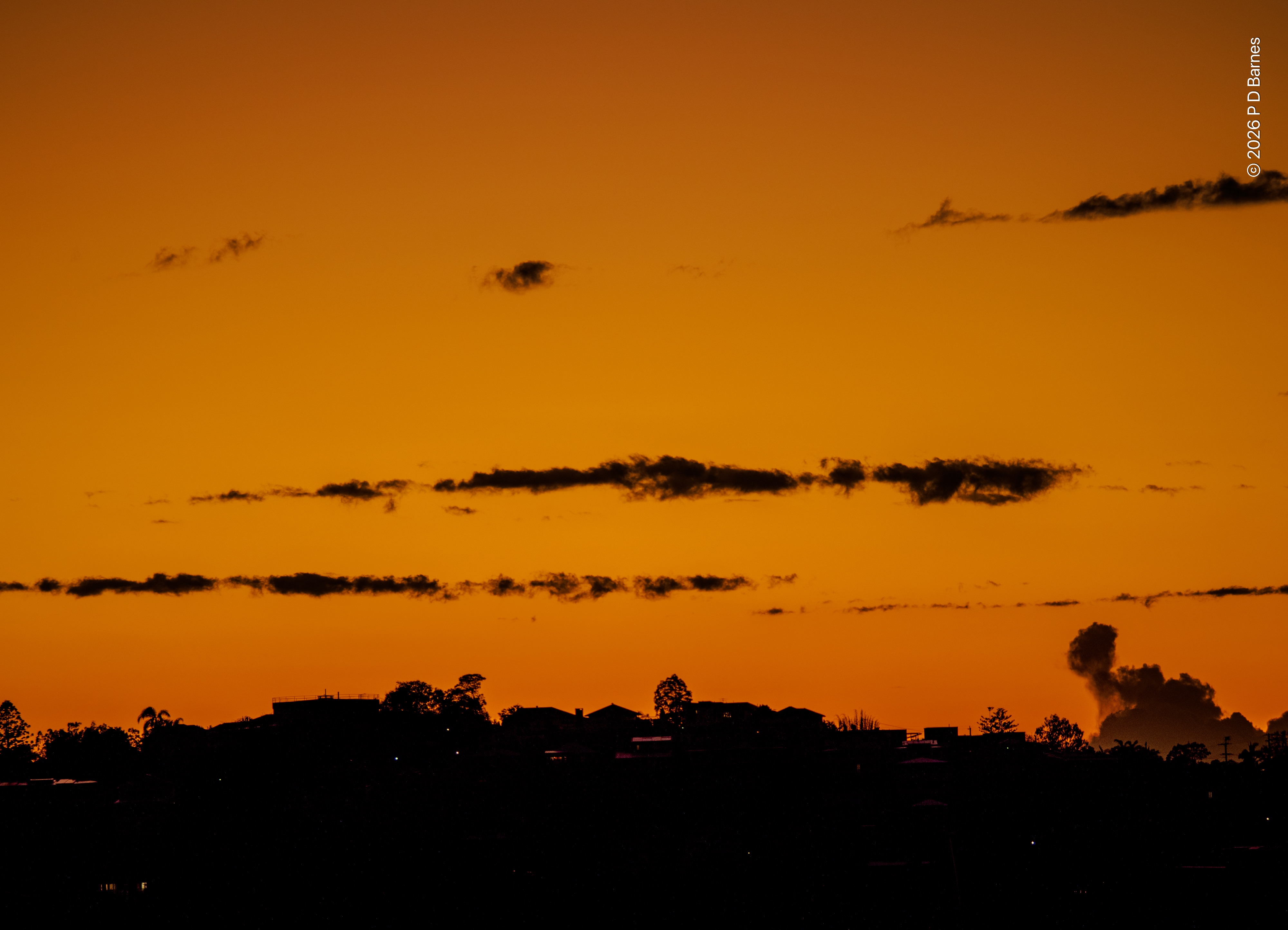 An intense orange dawn sky. A few streaks of deep charcoal cloud provide contrast and texture, while below is a frieze composed of the black silhouettes of trees and houses on a suburban hilltop.