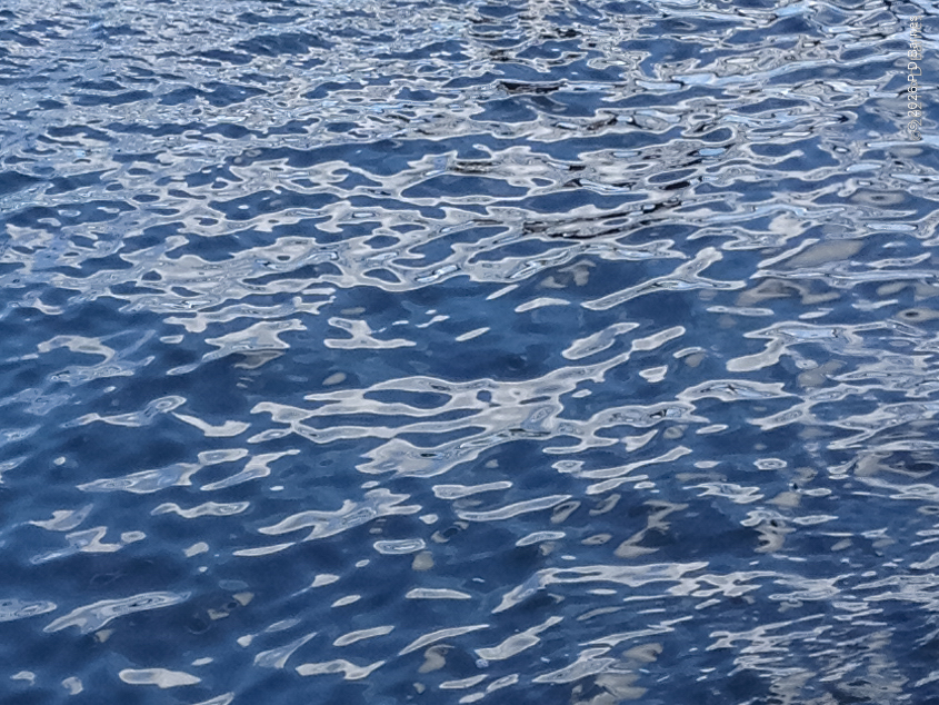 Brisbane river reflections