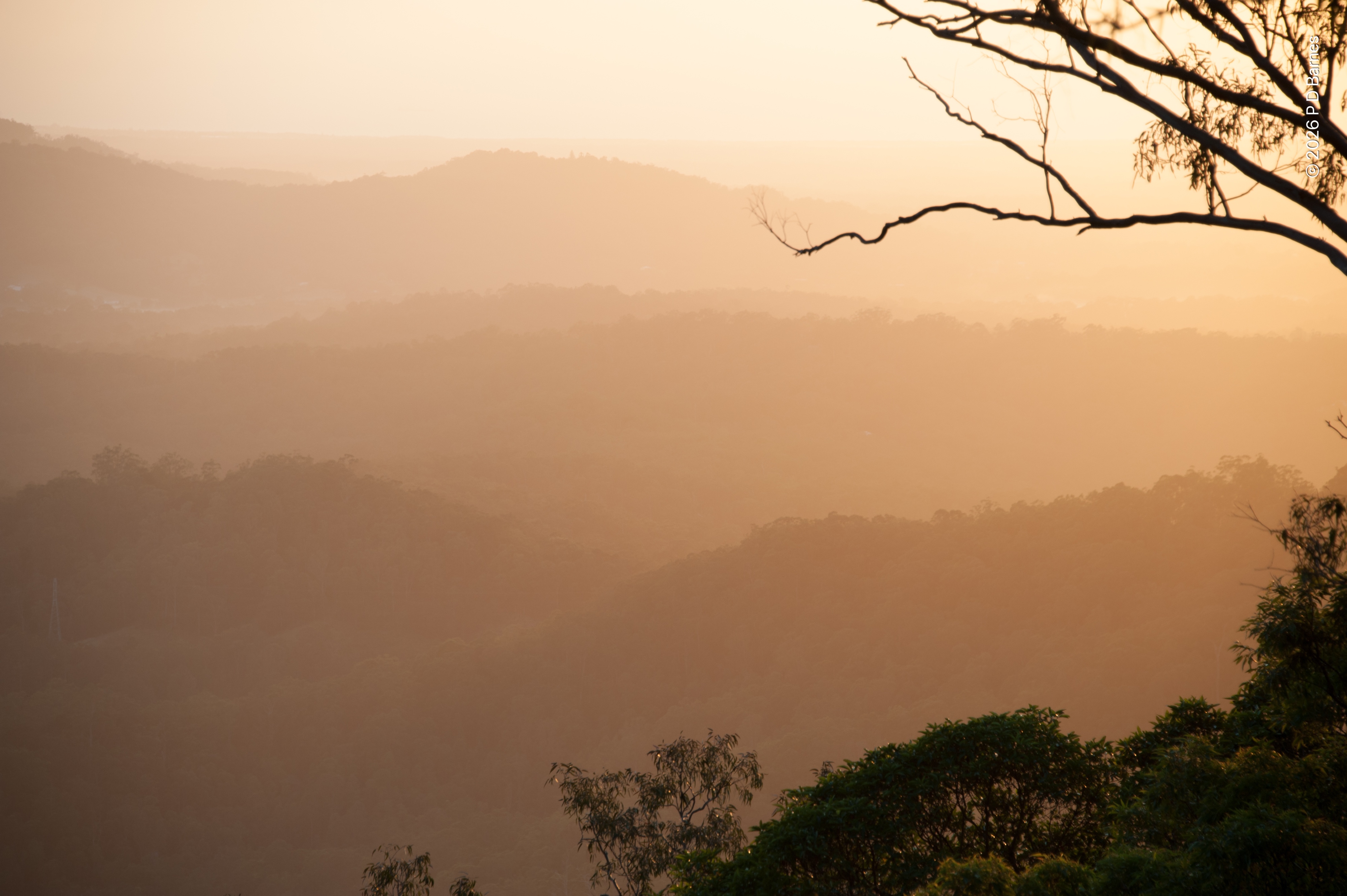 The just-risen sun, out of shot, lights up the mist over the ridges of Mooloolah Valley seen from Bald Knob, turning the scene into layers of increasing gold