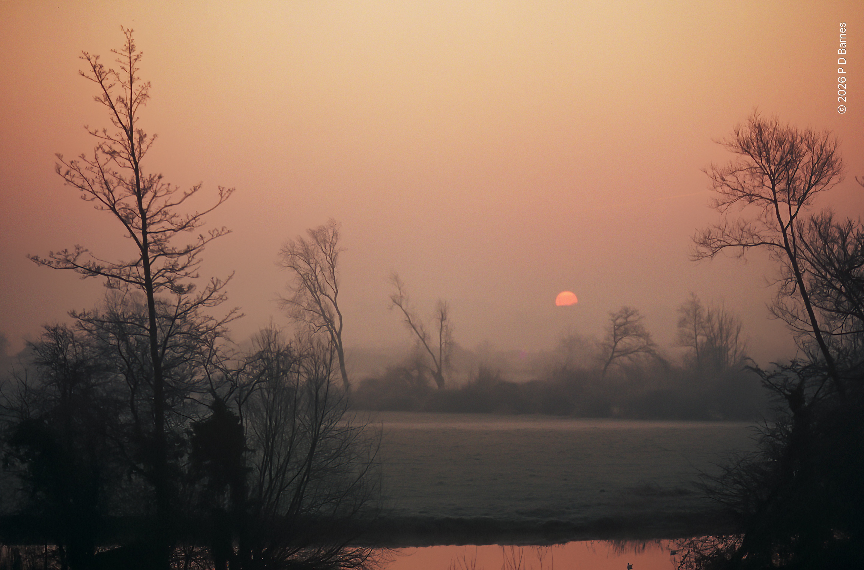 A misty winter landscape with the just-risen sun a dull orange disk on the horizon, the mist suffused with a gentle orange light, bare trees silhouetted dark against the wan light. A field with mist on it is in the centre of the image, and a glimpse of a small stream in the foreground, reflecting the apricot light.