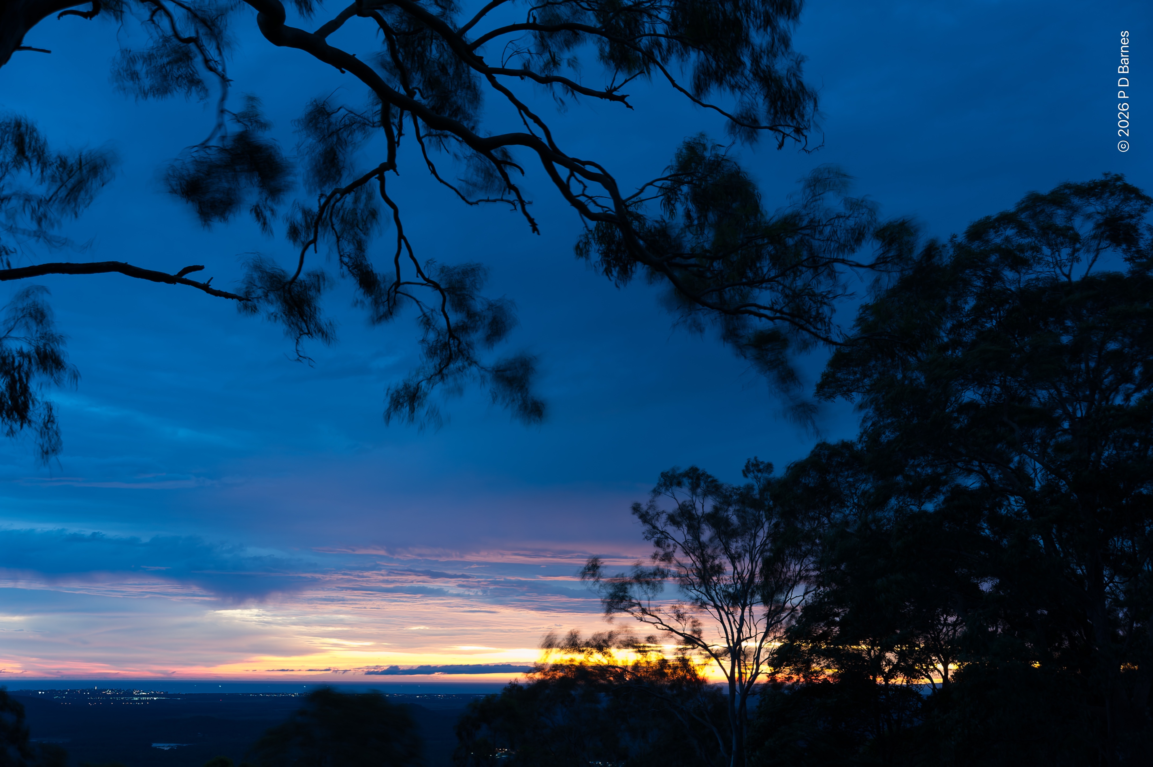Sunrise with deep blue clouds. Although the sky is almost completely clouded, the colour tone is a rich deep secondary blue, with a narrow band of intense gold and yellow on the ocean horizon where the sun will soon appear. In the mid- and foreground silhouettes of nearby trees fill the lower right and top of the frame. Despite the cloud, it's a peaceful scene.