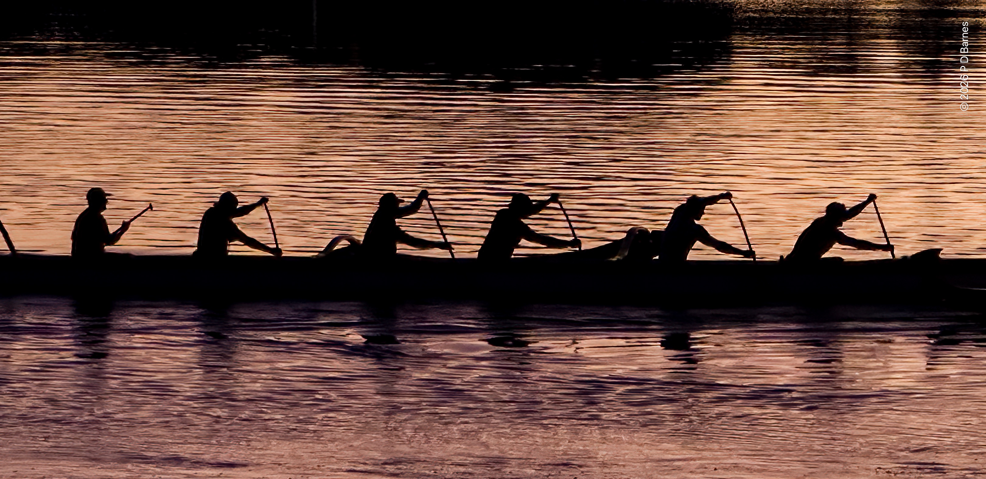 A long canoe with six paddlers on the Brisbane River at dawn. The river is reflecting a purplish light, and the boat and paddlers are in silhouette against the light.