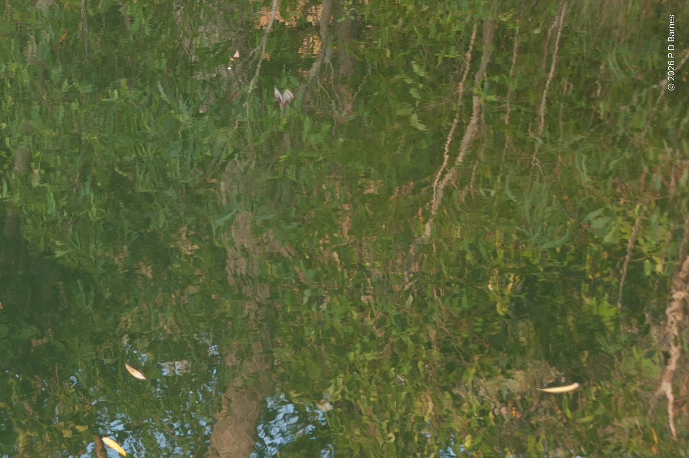 Gunlom creek reflections