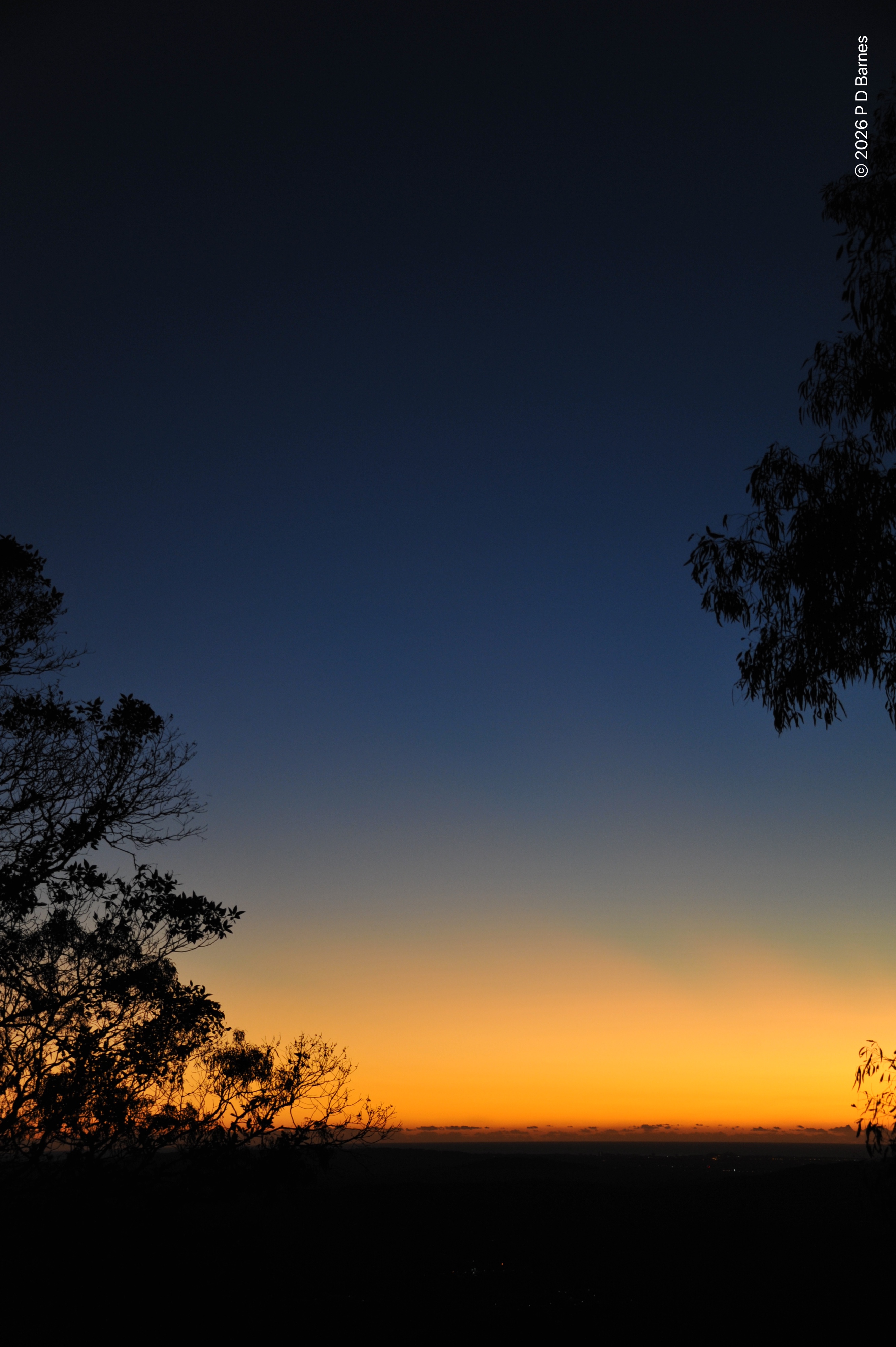 A minimal pre-dawn sky: dark black plains, the faintest smudge of cloud on the ocean horizon, then clear sky grading from rich egg-yolk yellow to deep deep blue. Partial silhouettes of two tree frame the colour gradient at lower left and upper right, adding texture and a subtle imbalance to the image.
