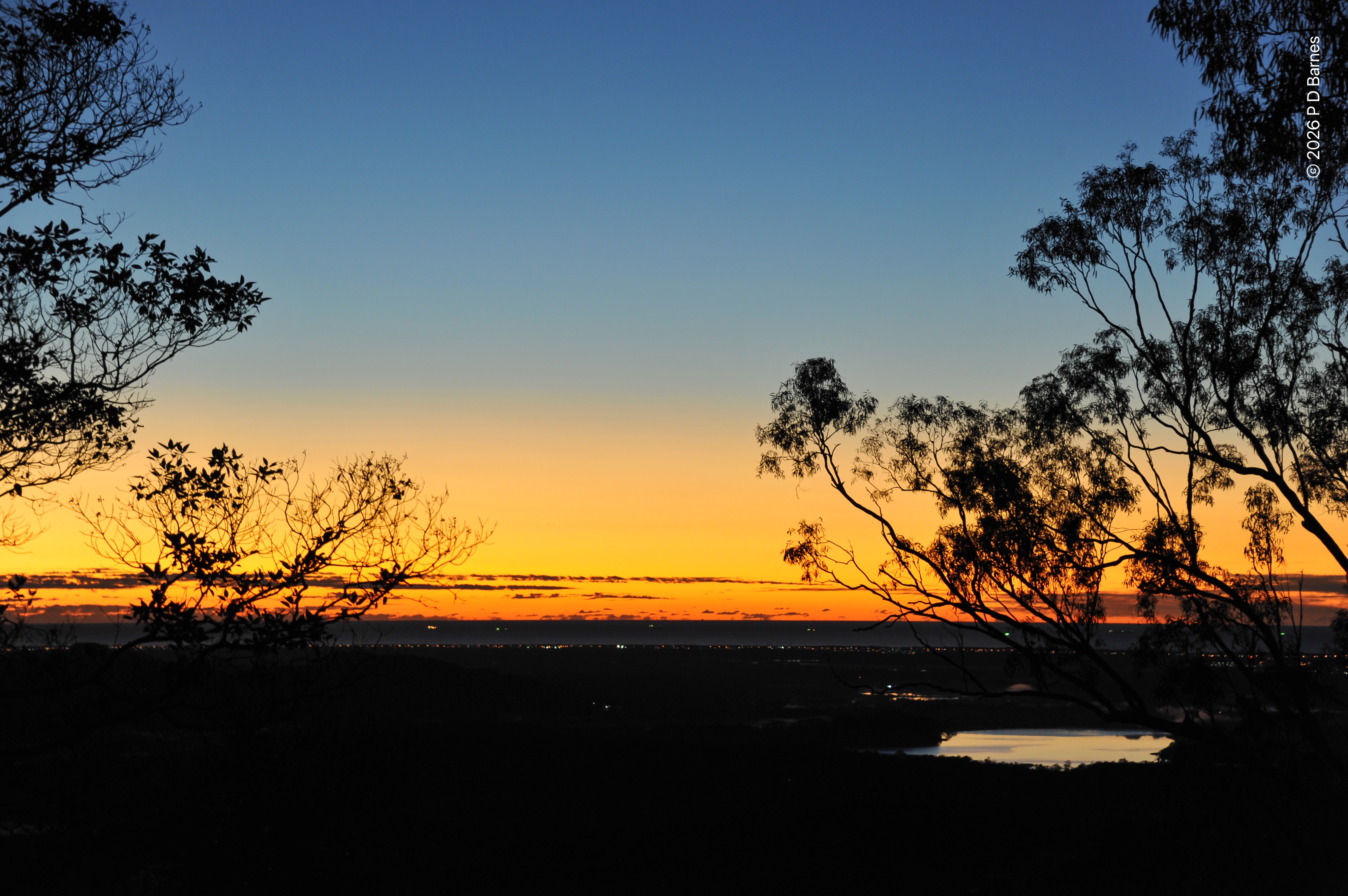 A sunrise over dark plains and the distant ocean seen from a high vantage. The land is still almost pitch black, small twinkles of streetlights and houses visible along the coastal strip. The horizon is a rich yellow-gold, with small streaks of dark cloud in an otherwise cloudless sky. Higher up the colour changes to a light blue, and then darkens slowly. In the plains, a dam shines out, and the scene is framed left and right by the partial silhouettes of large eucalypts.