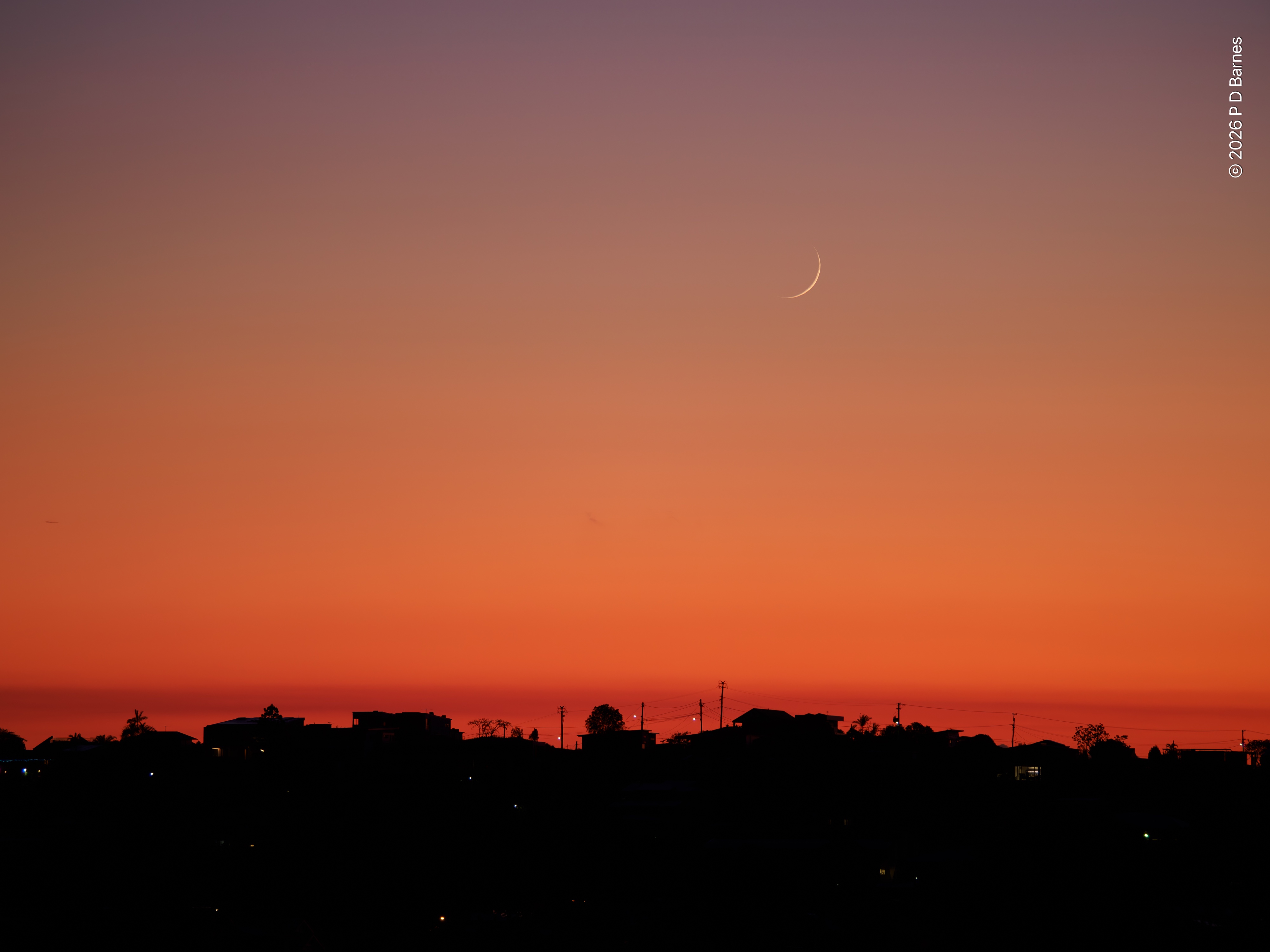 A fingernail crescent moon hangs in an intense pre-dawn sky, colours grading from red on the horizon to a delicate mauve at zenith. Below, the solid black silhouettes of trees, houses and utility poles form the horizon, punctuated briefly by a few pinpoint lights.