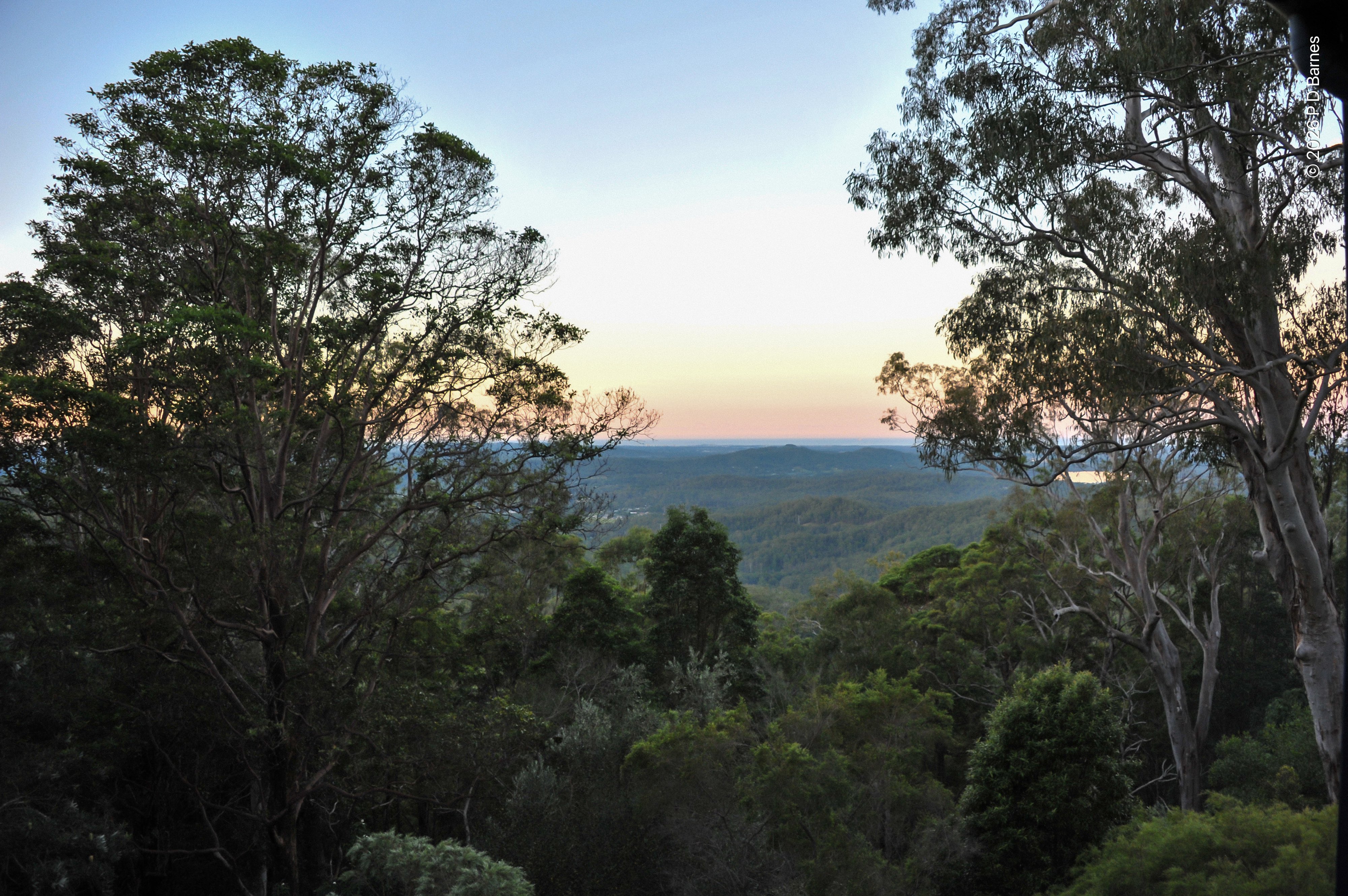 Dusk settling over the Bald Knob garden, remnant forest and the national park forests on the plains below. On the horizon Venus' belt is rising over the distant sea.