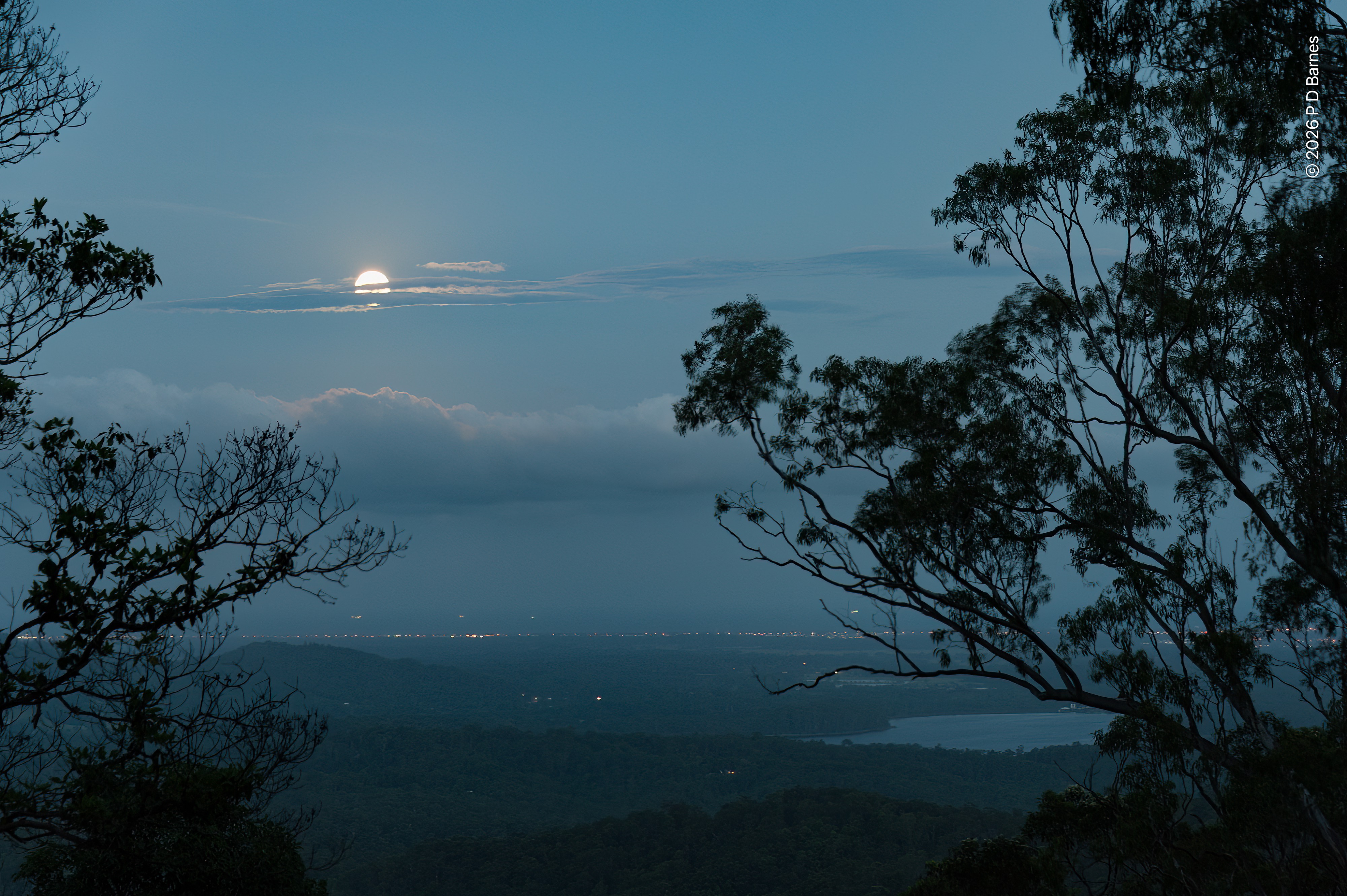 A full moon rides partly obscured in a cloudy, misty blue-hour sky, the wooded plains below still visible but monochrome in the moonlight, the dull gleam of a lake reflecting the soft blue of the sky. The scene is framed left and right by the silhouettes of two large trees.